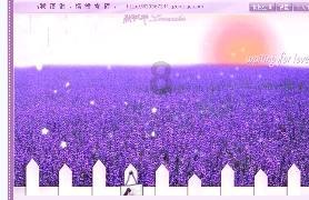 【时光剪影】2023回望随笔